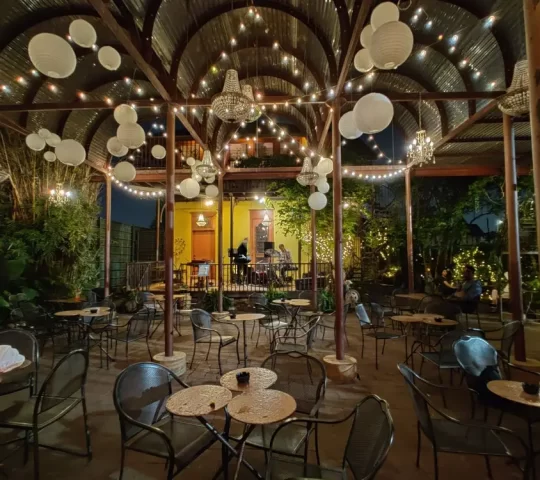 Avant Garden BAR